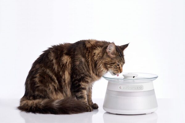 PW7-09G smart pet water fountain with clean and dirty water separation system