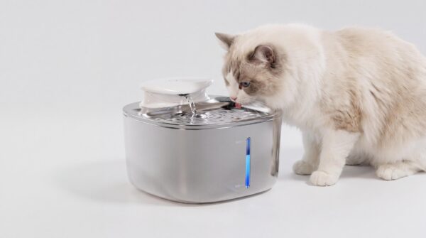 PW7-10S stainless steel smart pet water fountain